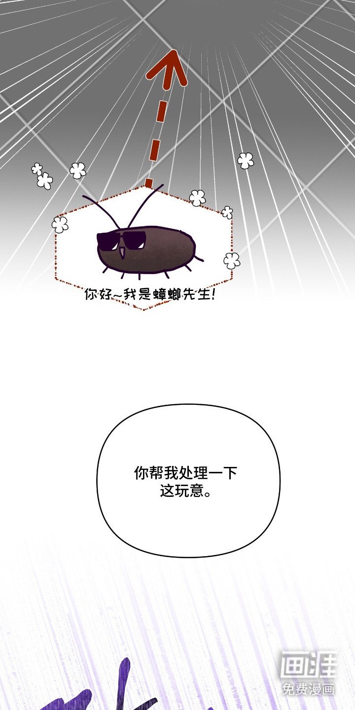 第13章：抓住机会