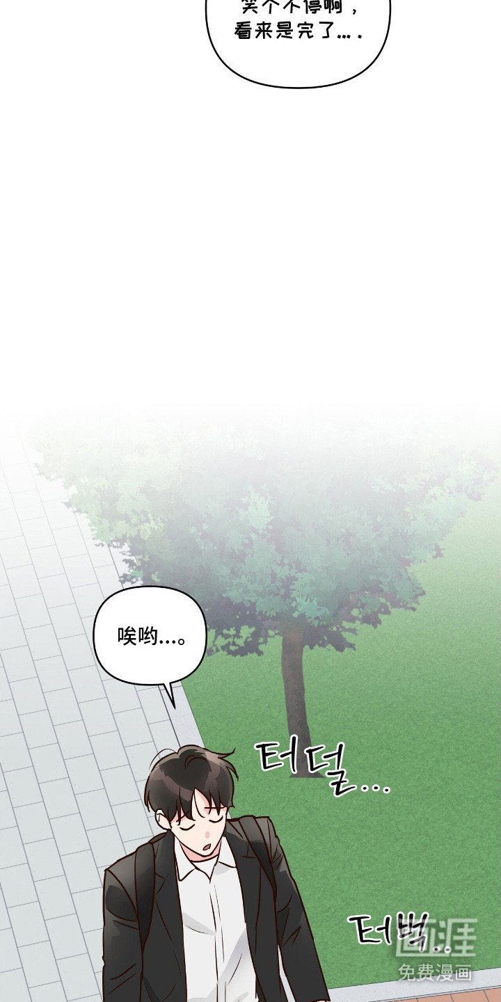 第14章：面试
