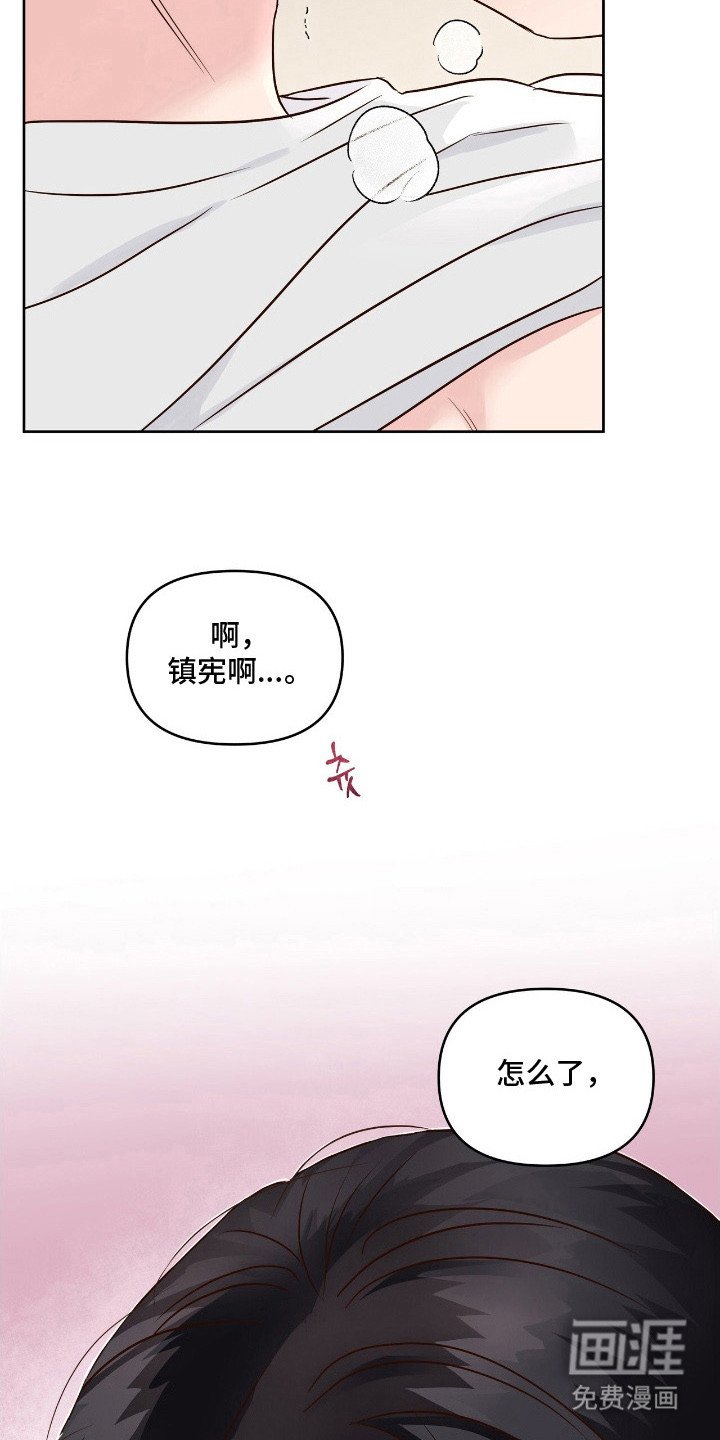 第16章：放鸽子