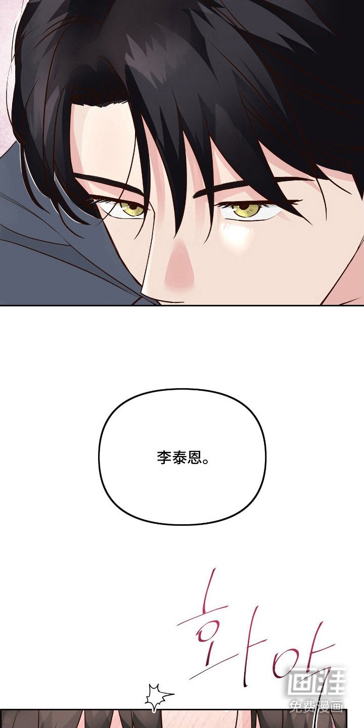 第16章：放鸽子