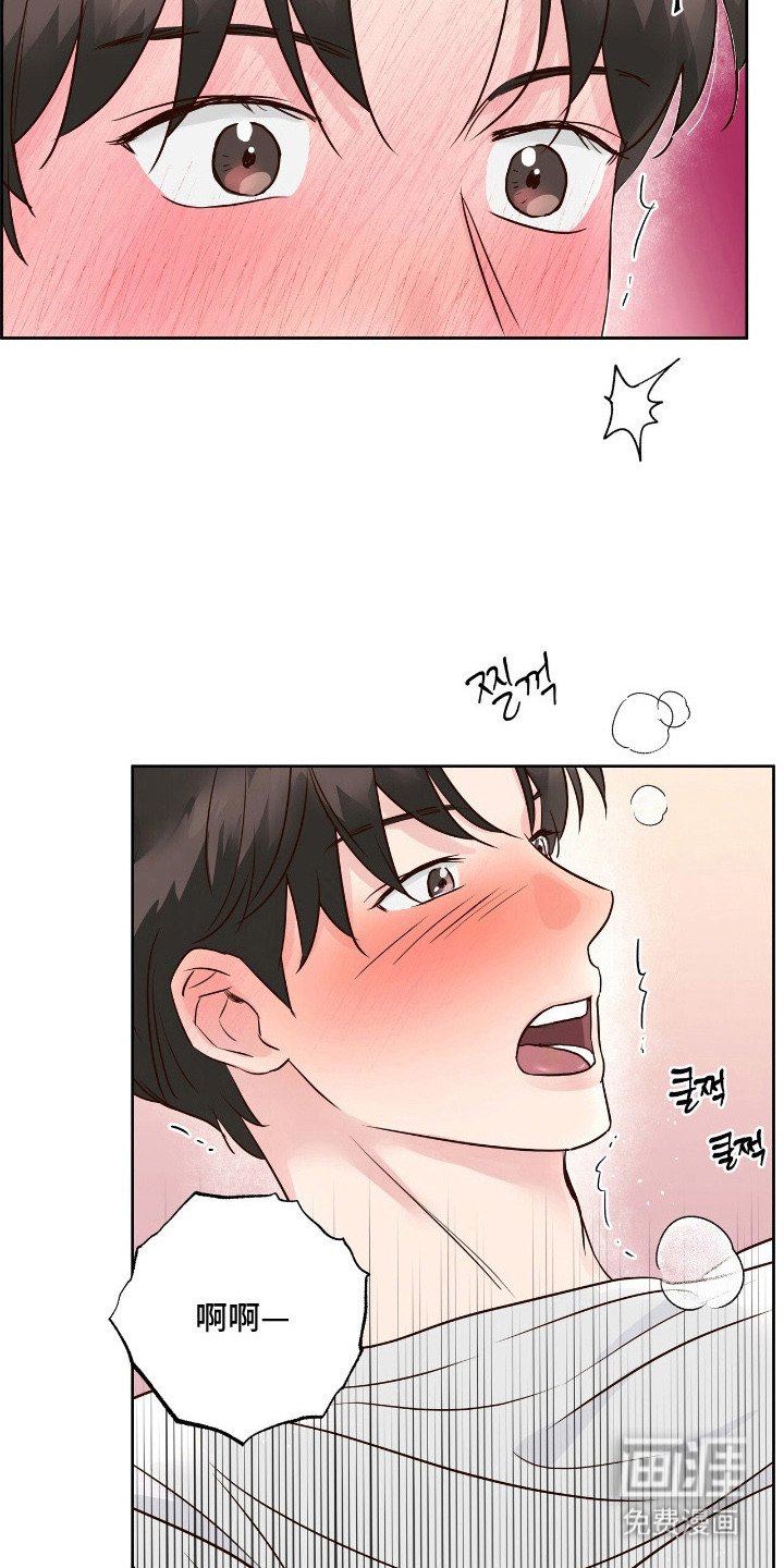 第16章：放鸽子