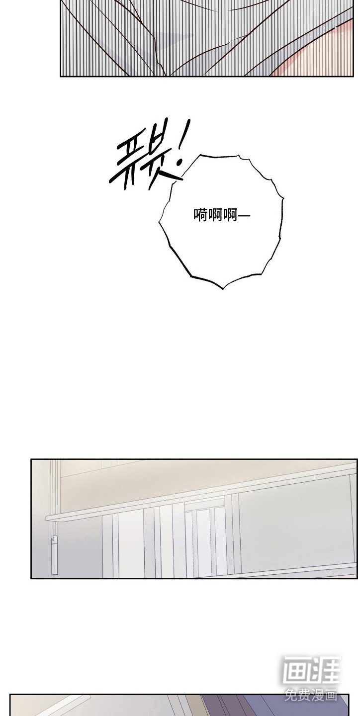 第16章：放鸽子