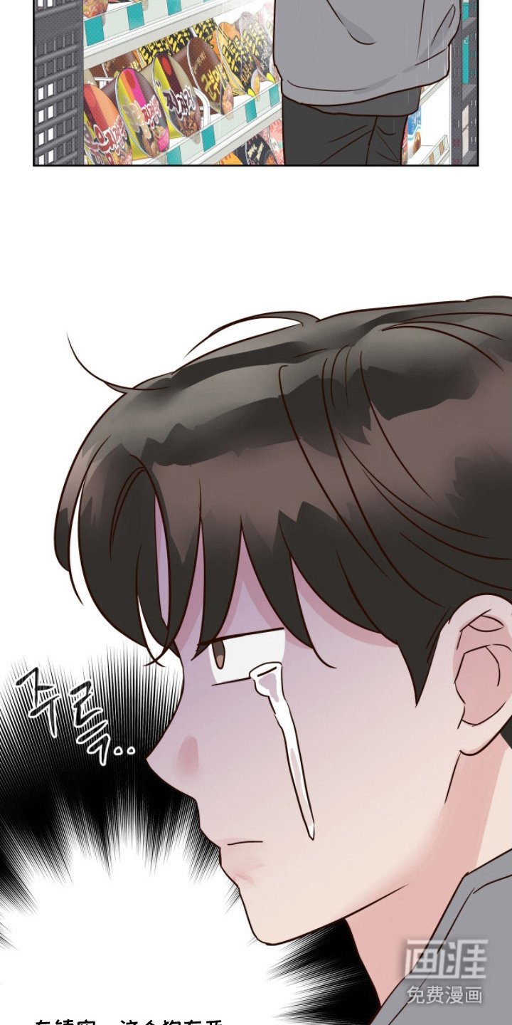 第16章：放鸽子