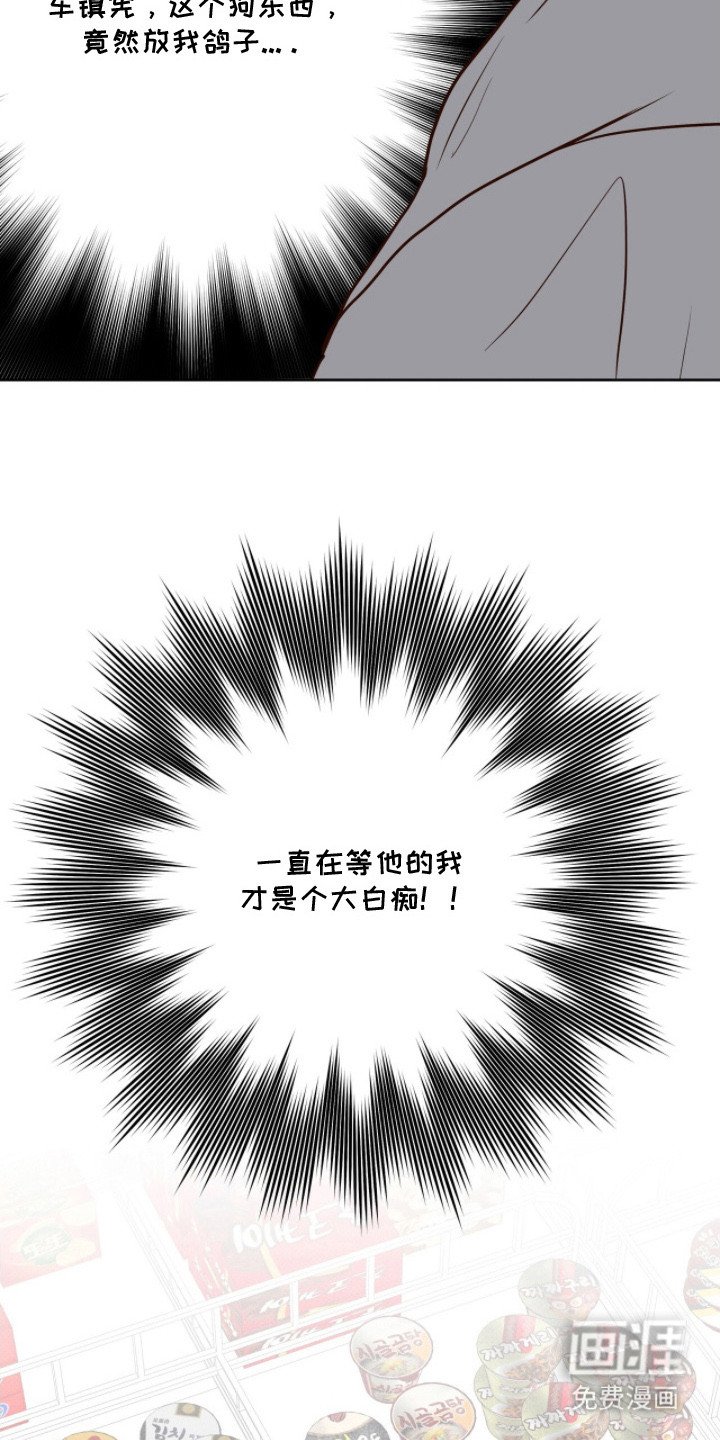 第16章：放鸽子