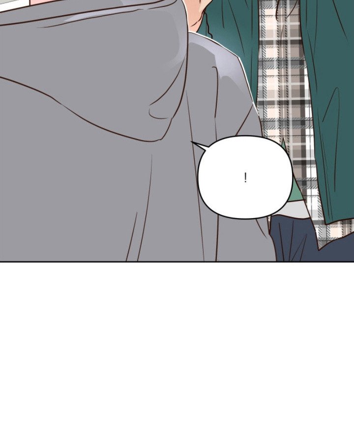 第16章：放鸽子