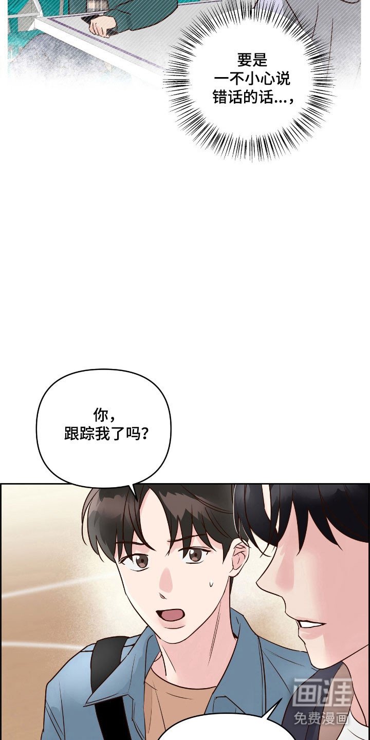 第19章：转系
