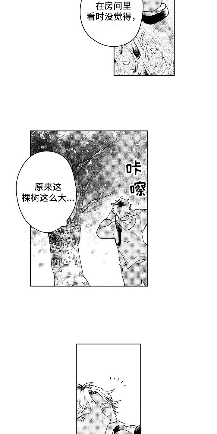 第1章：烦恼