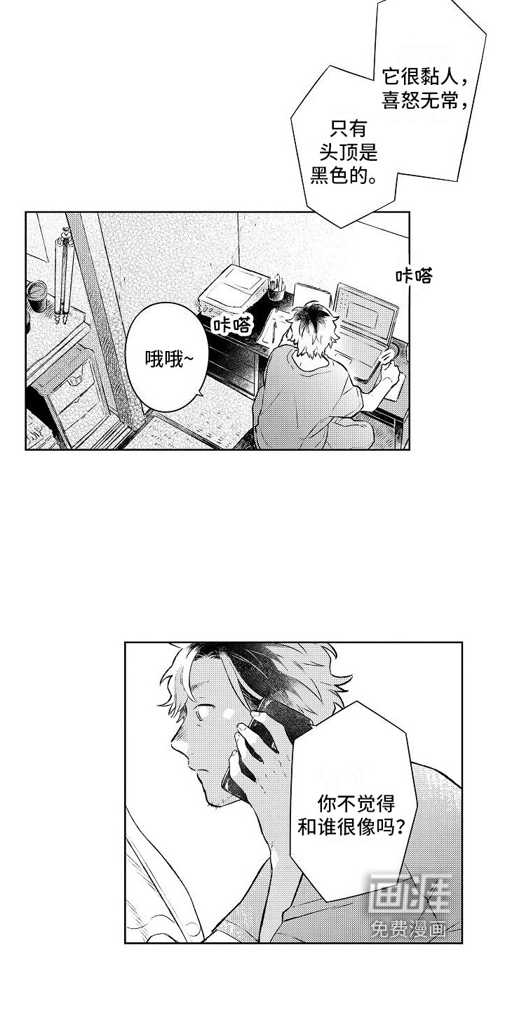 第11章：成为恋人