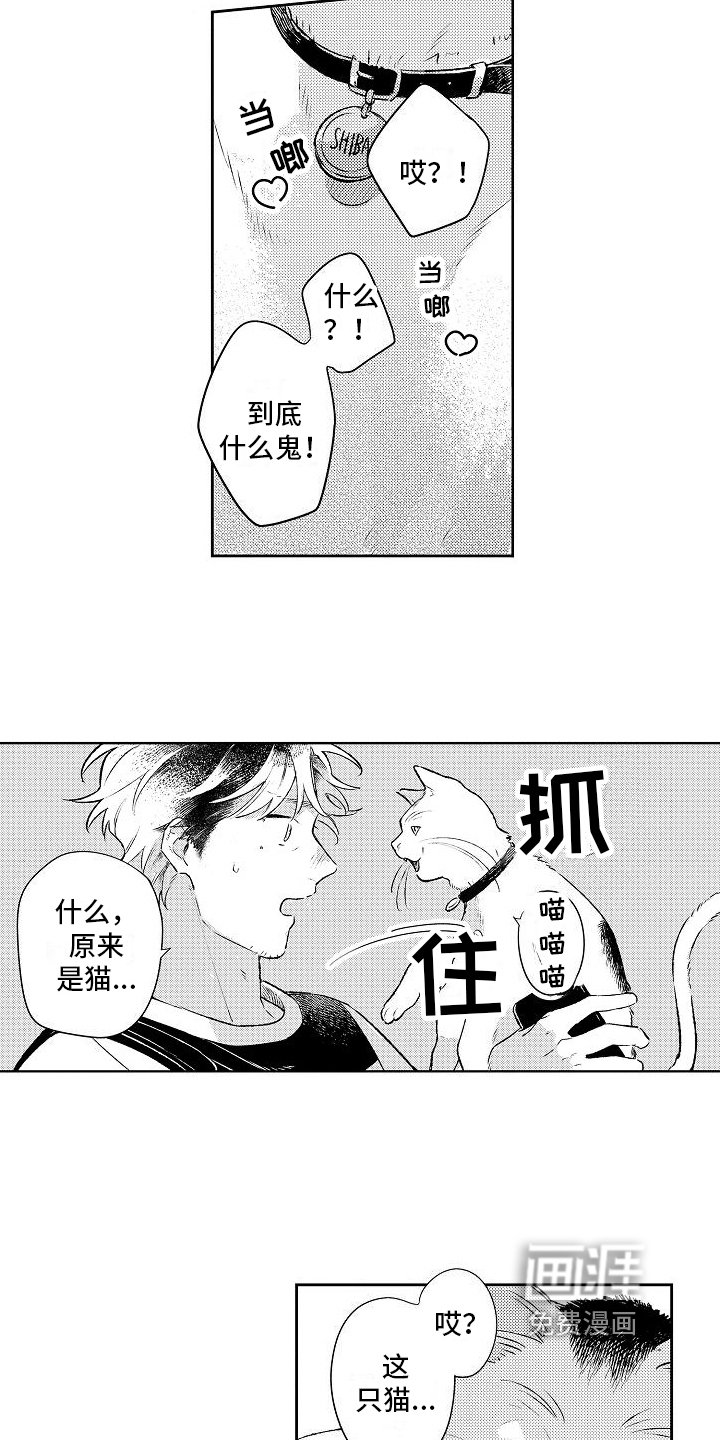 第21章：思念