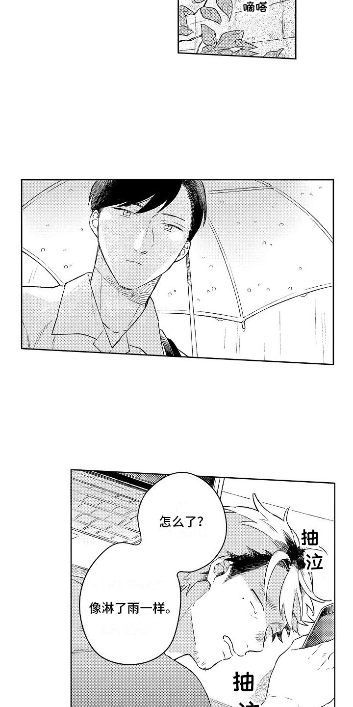 第3章：不再拍照