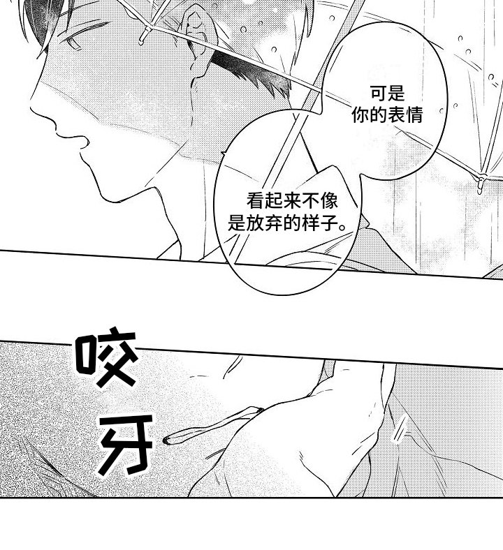 第3章：不再拍照