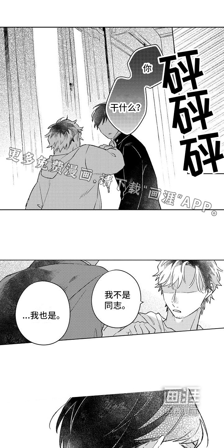 第9章：表白