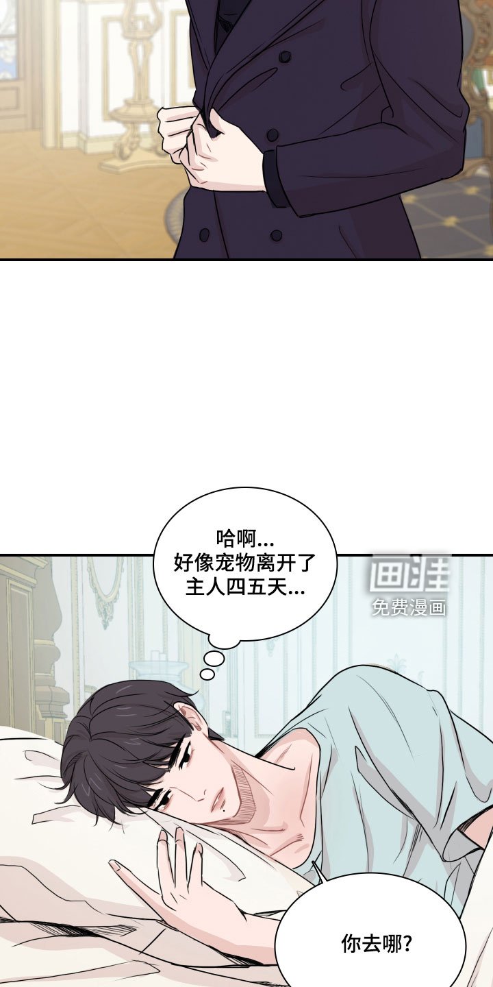 第27章：消失了