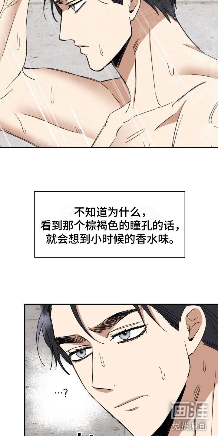 第13章：突变种