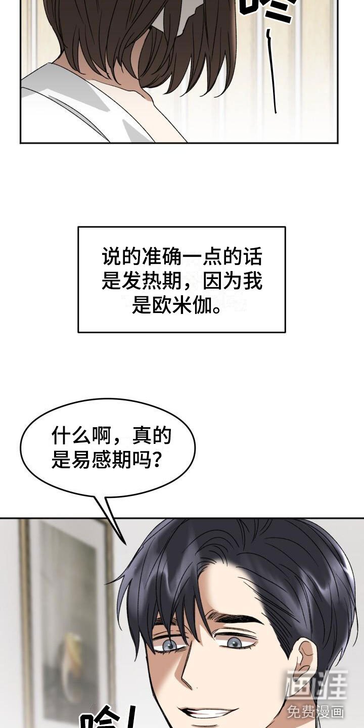 第19章：下一步