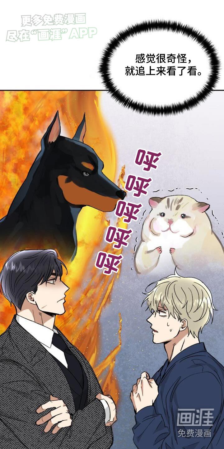第46章：怎么回事