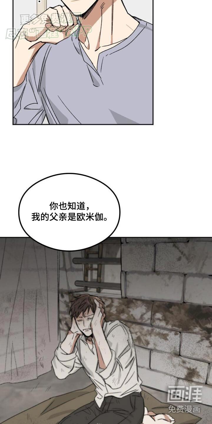 第49章：错觉