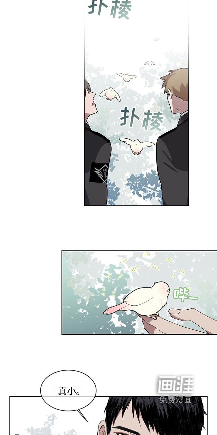 第11章：劝告