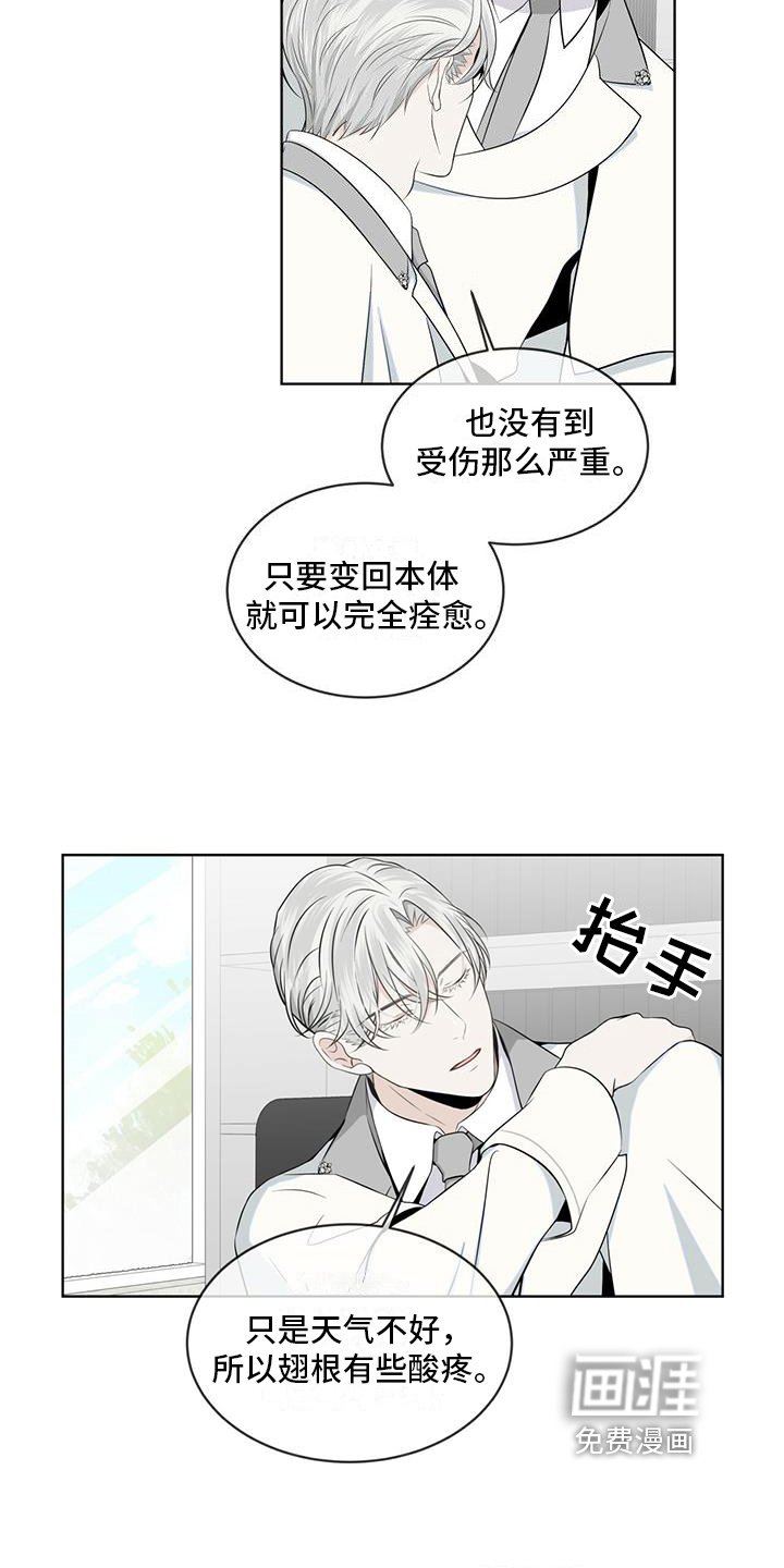 第12章：联系