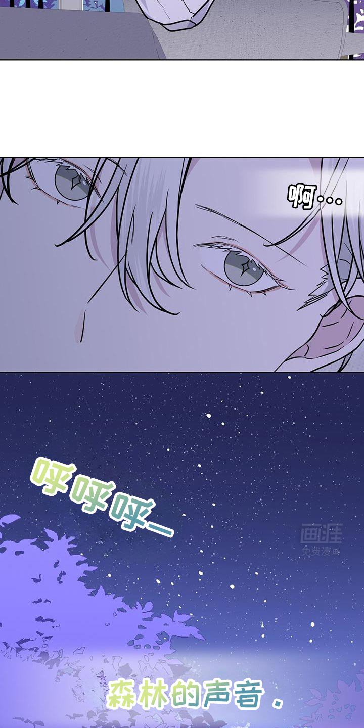 第121章：【第二季】夜空的声音