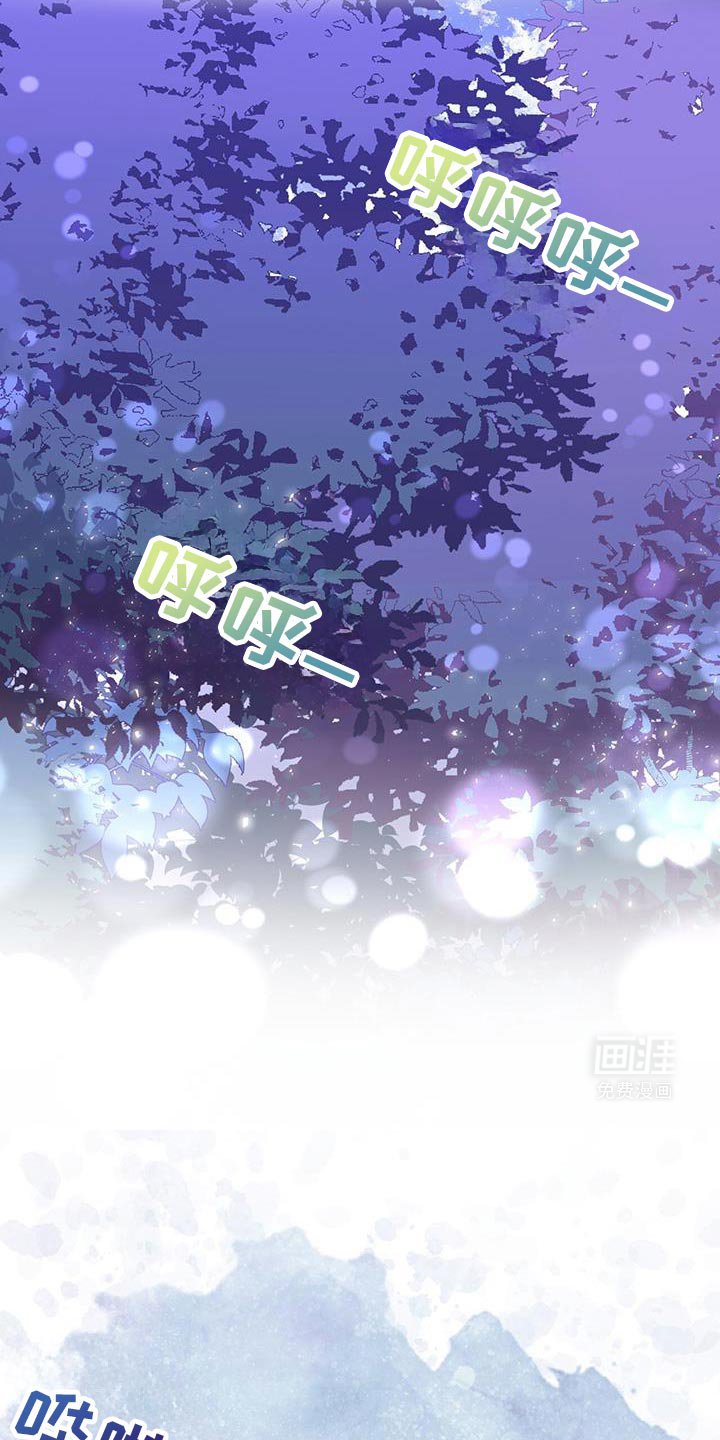 第121章：【第二季】夜空的声音