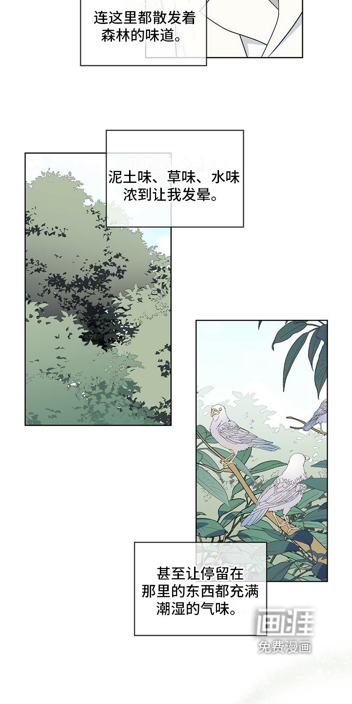 第13章：雨季将临