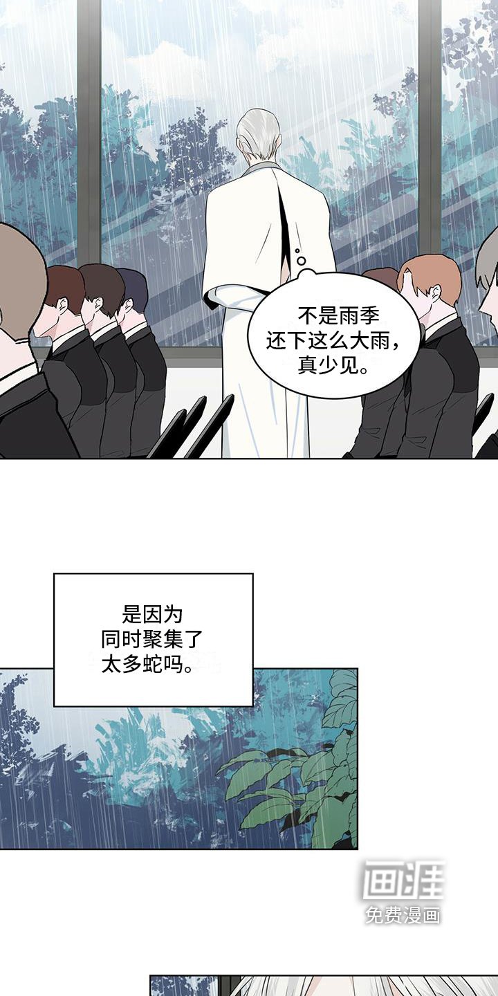第13章：雨季将临