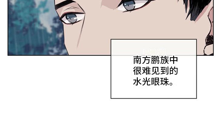 第13章：雨季将临