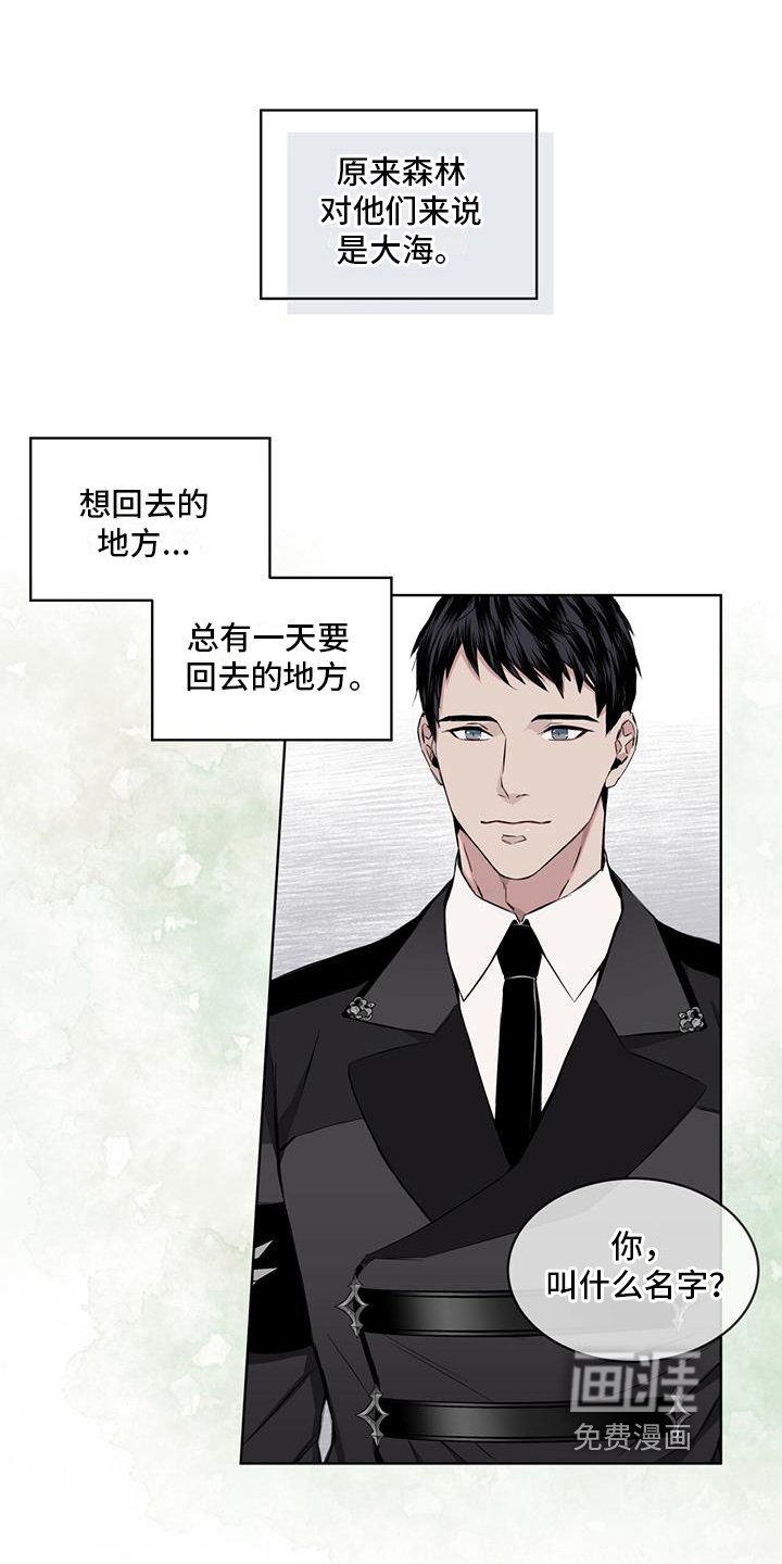 第14章：受伤