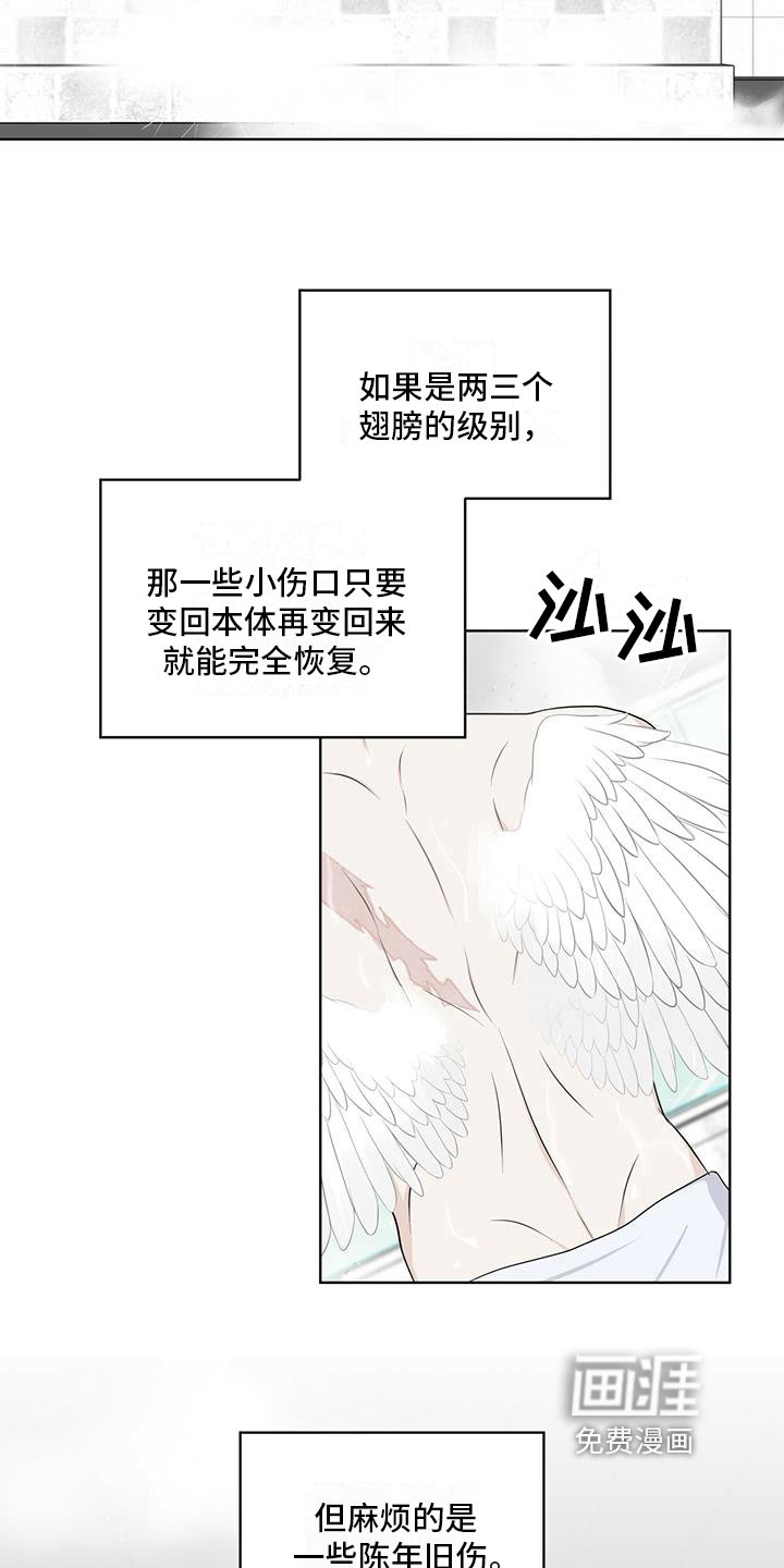 第14章：受伤