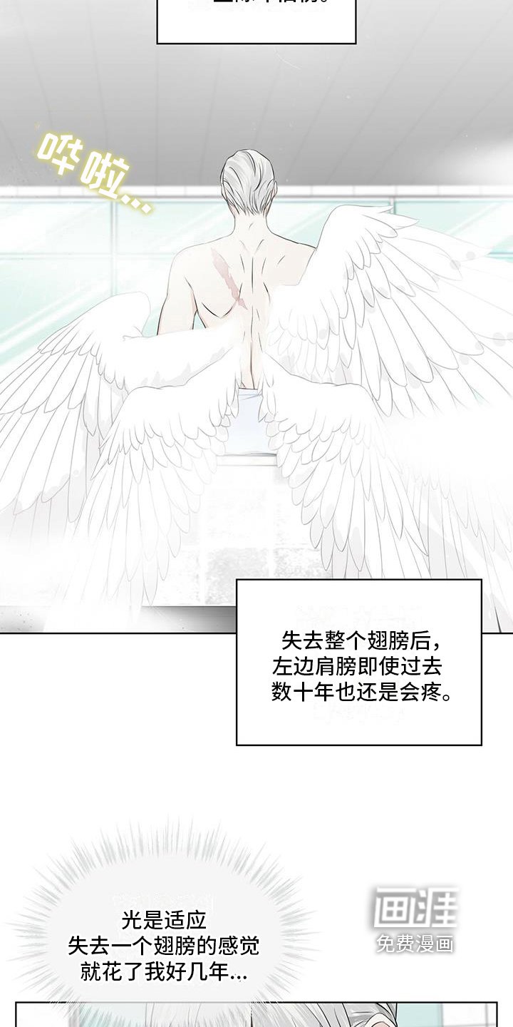 第14章：受伤