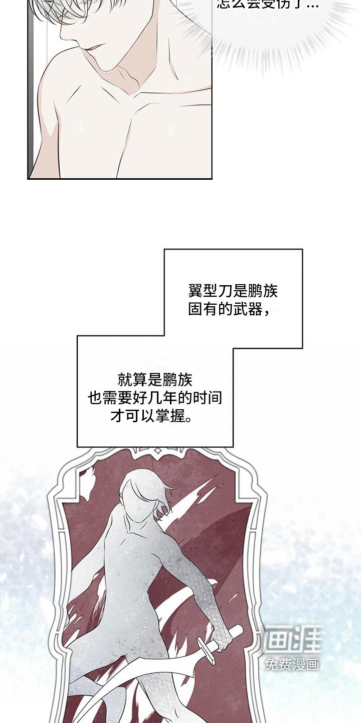 第14章：受伤