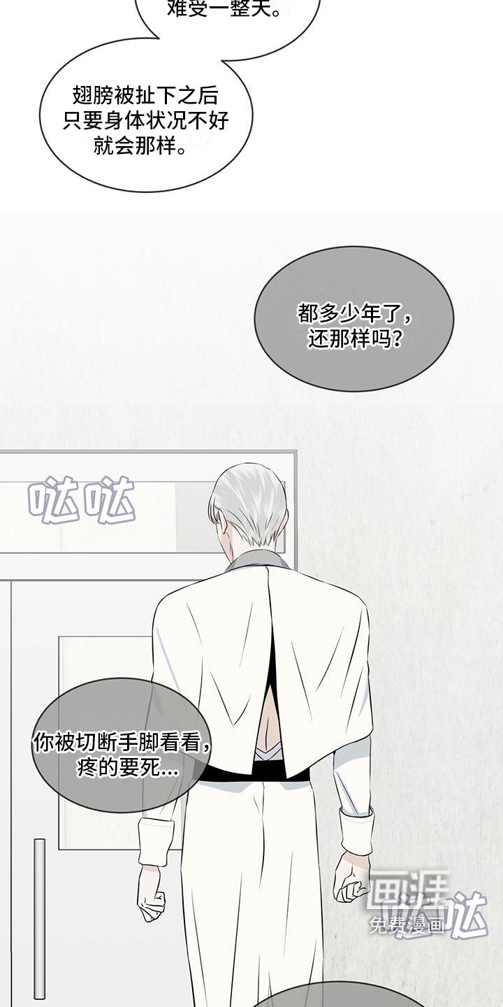 第20章：传说