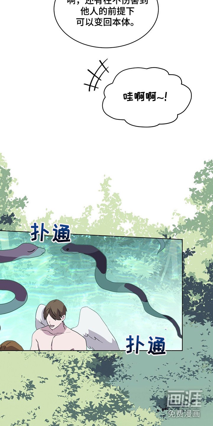 第25章：池塘