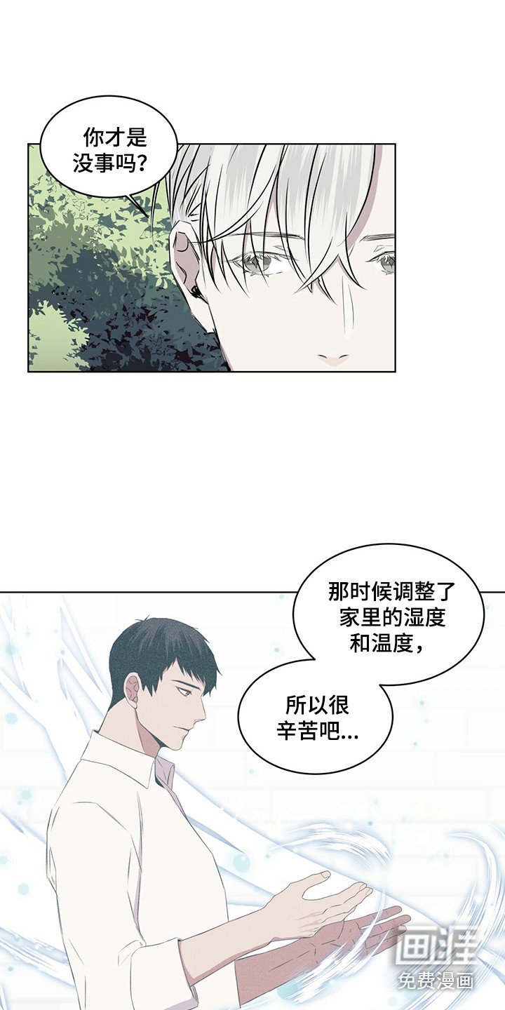 第25章：池塘