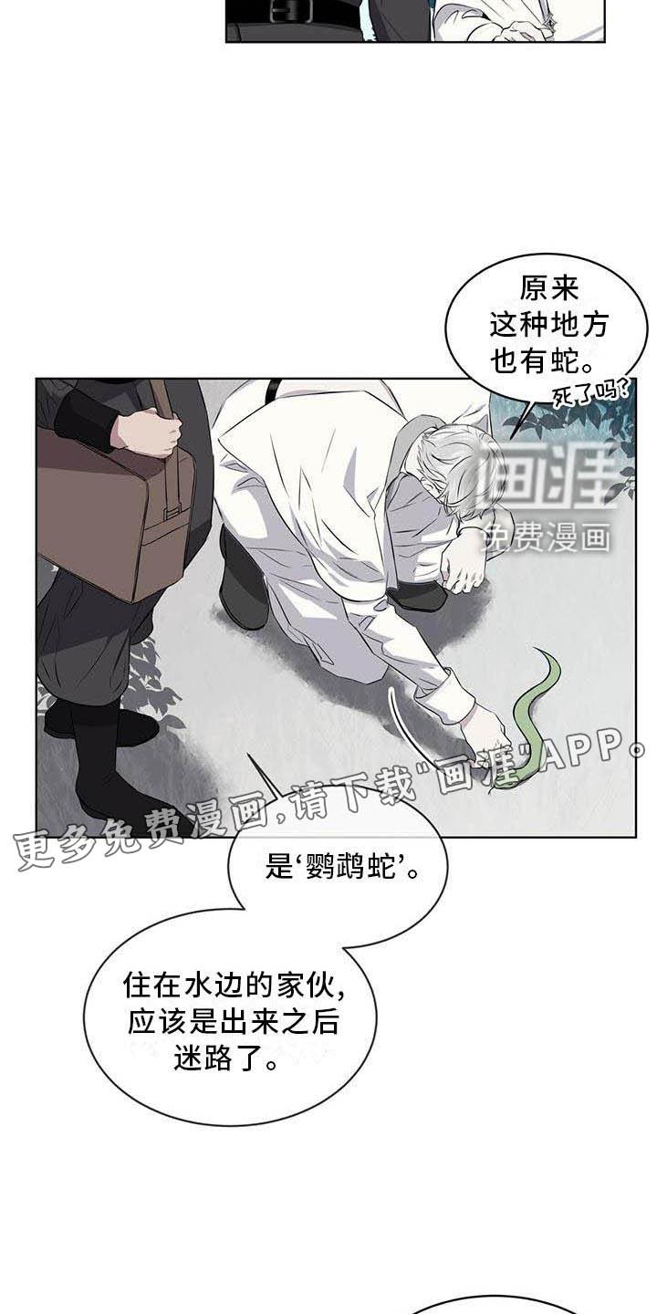 第30章：蛇