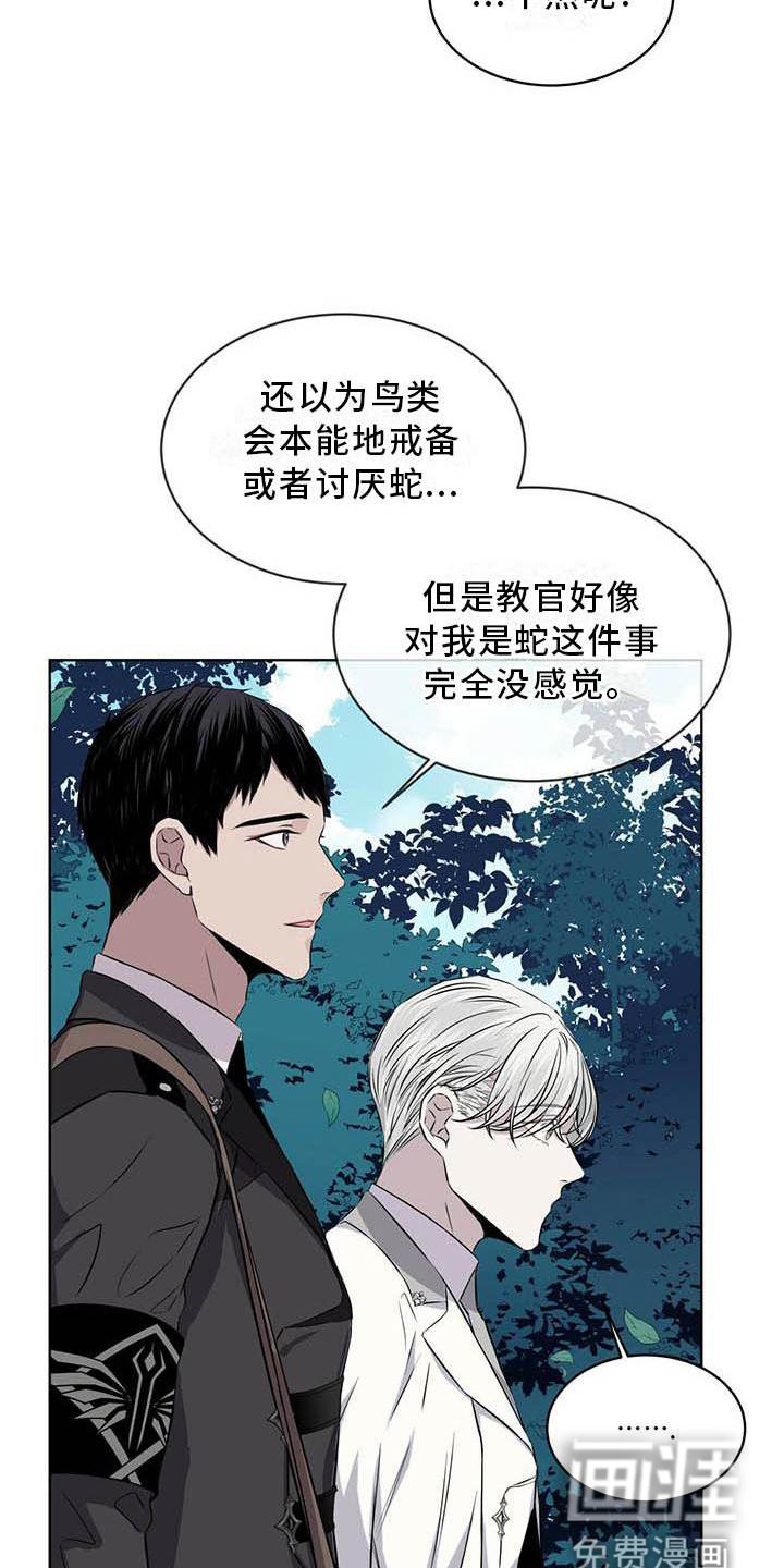 第30章：蛇