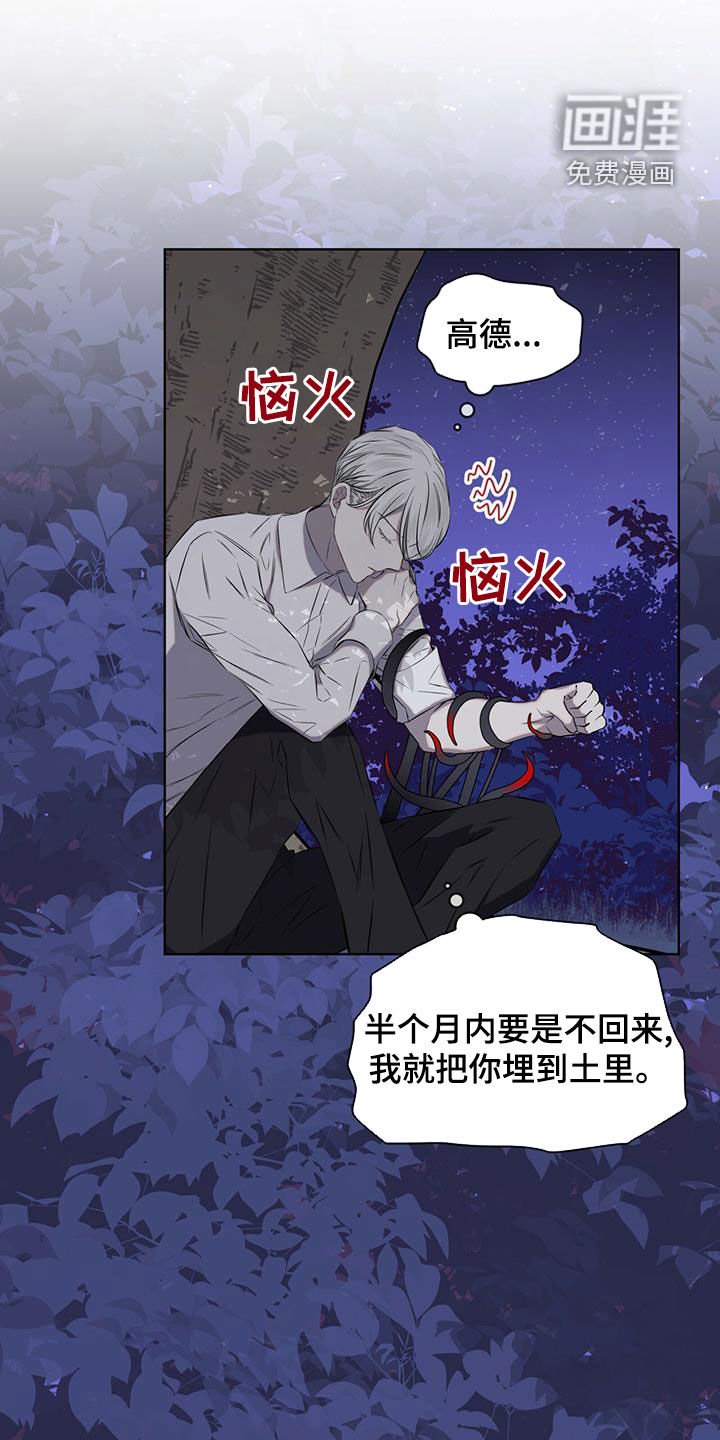 第35章：被子