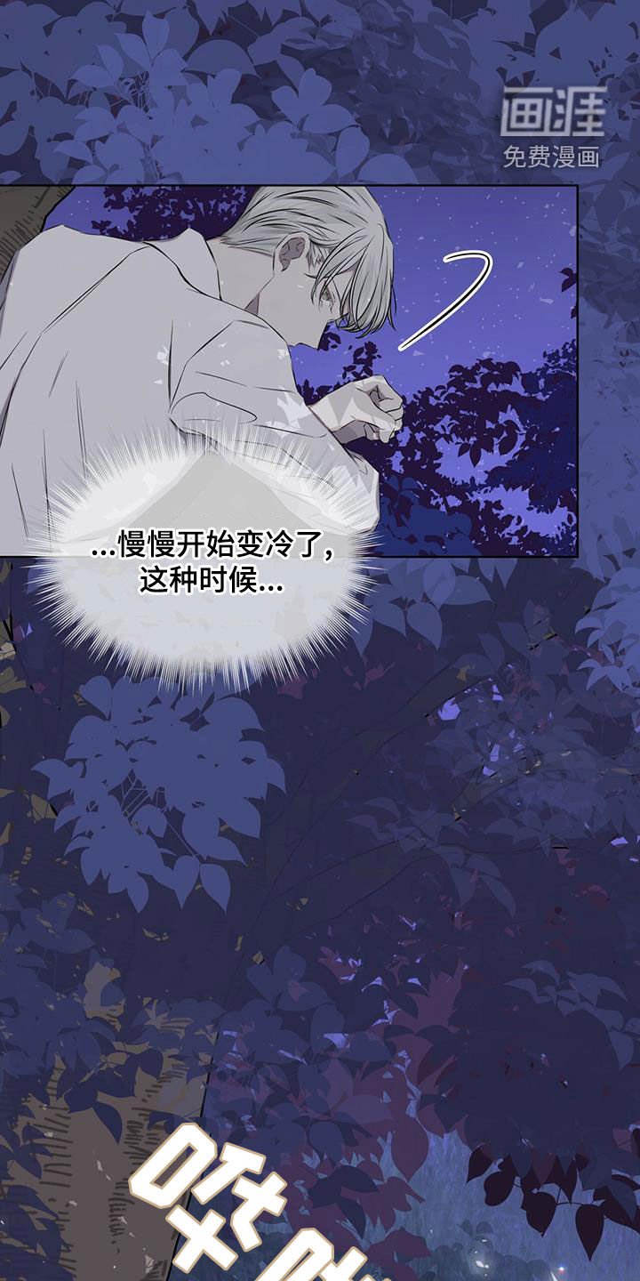第35章：被子