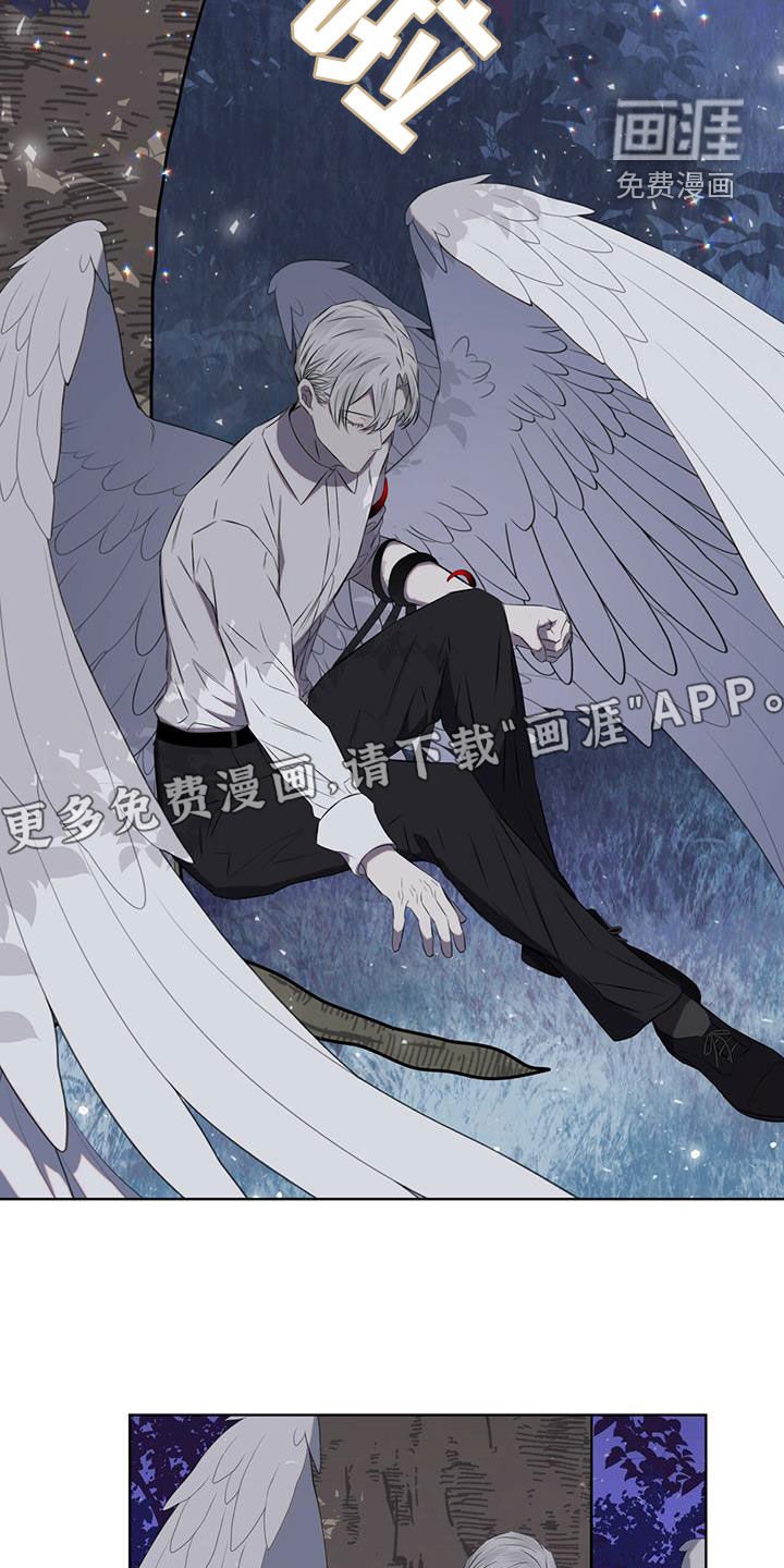 第35章：被子