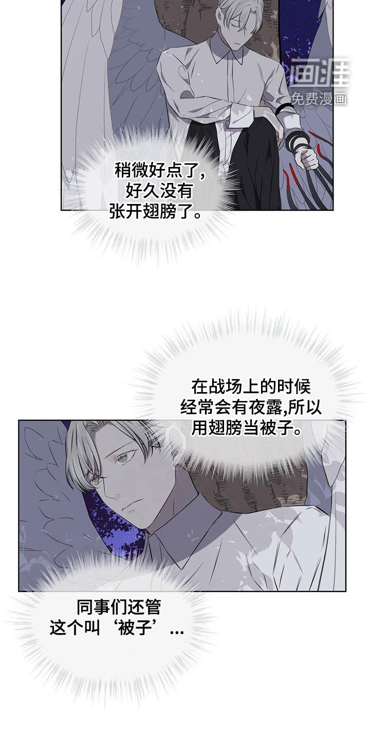 第35章：被子