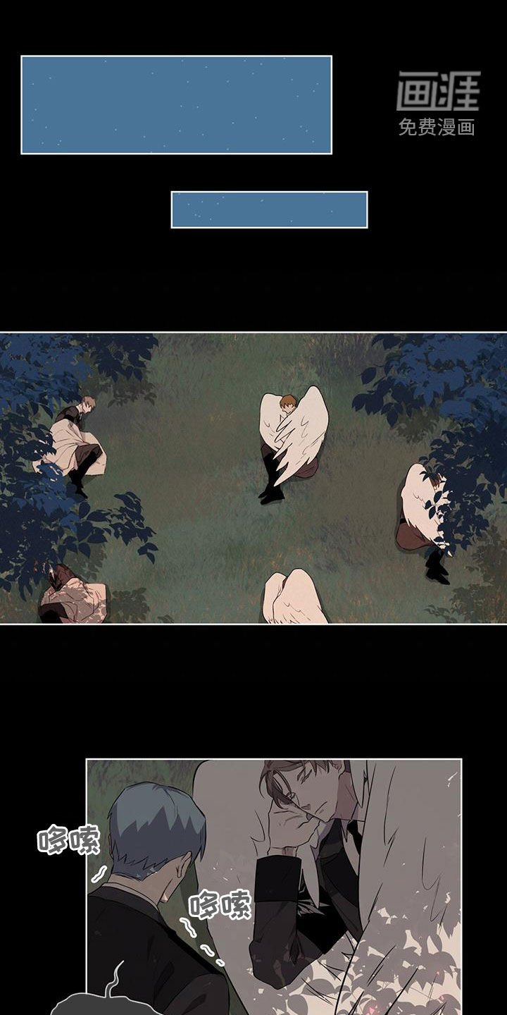 第35章：被子
