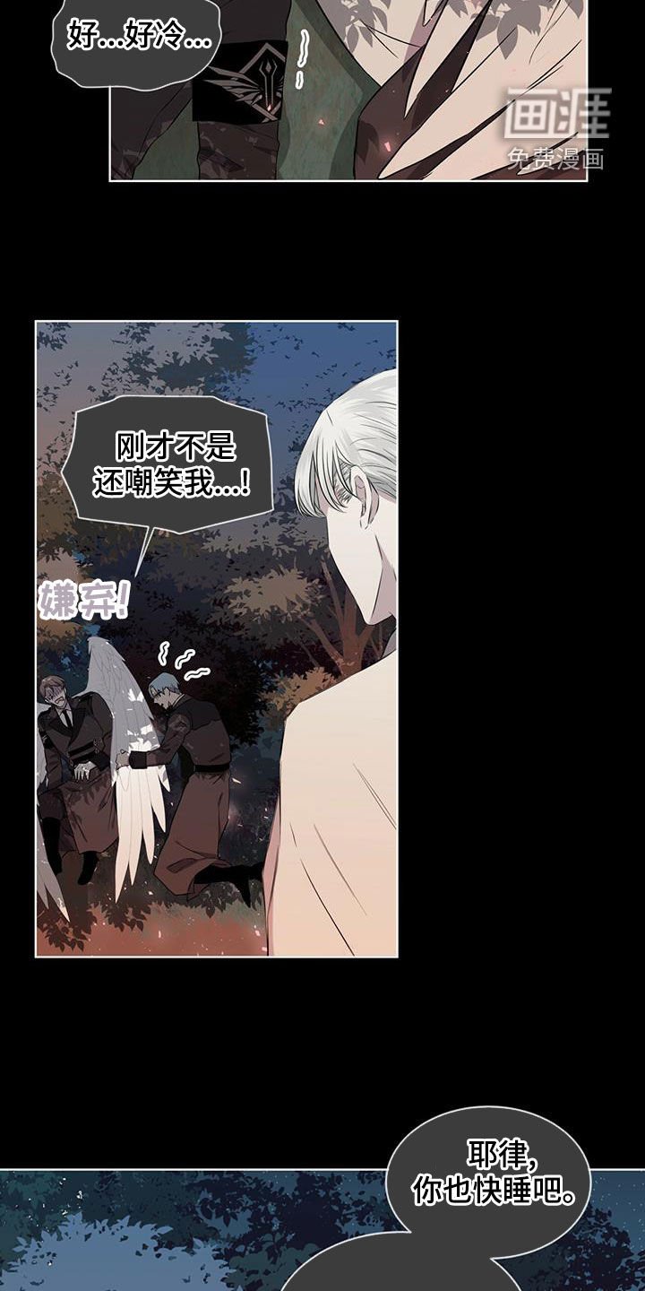 第35章：被子