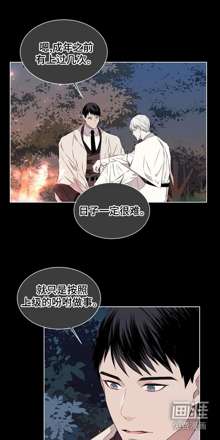 第35章：被子