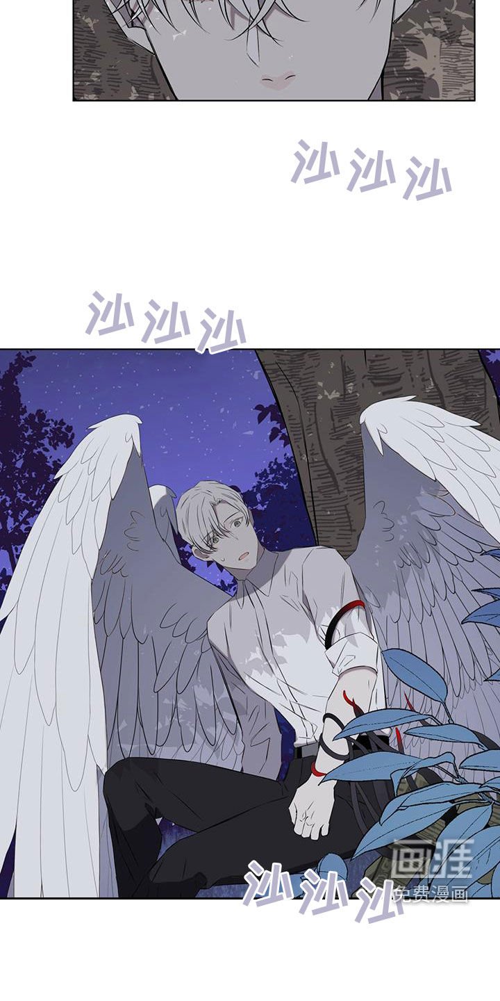 第35章：被子