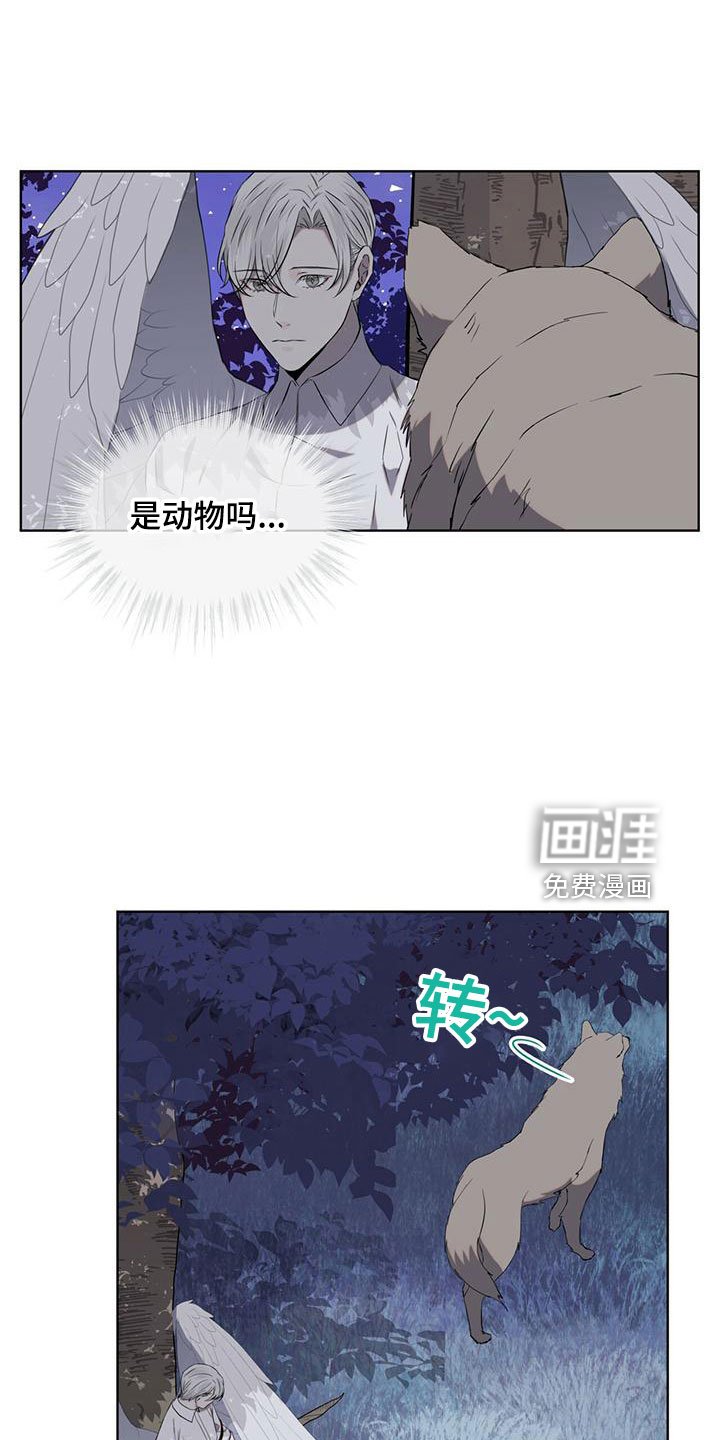 第36章：很想念