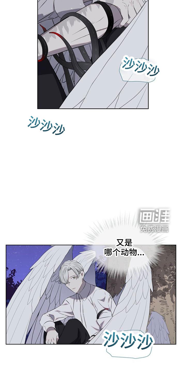 第36章：很想念