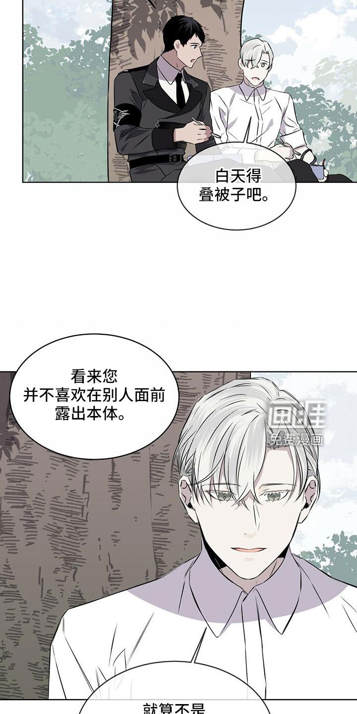 第39章：夜曲