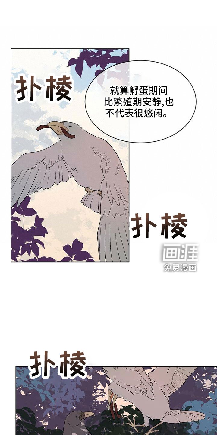 第39章：夜曲