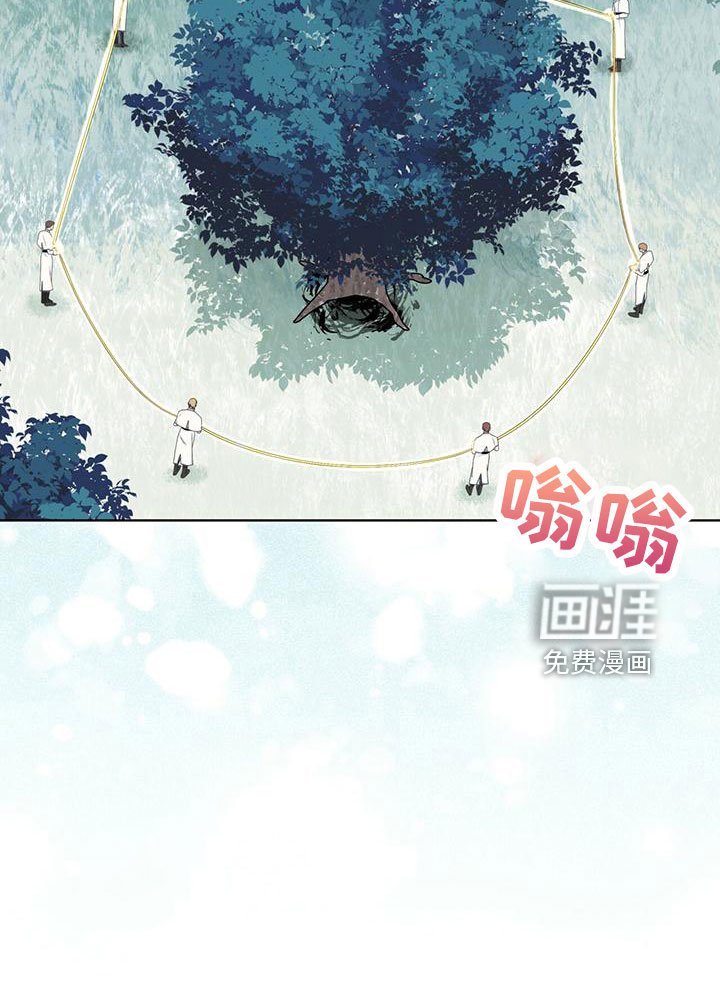 第39章：夜曲